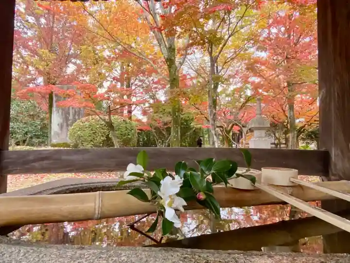 真正極楽寺(真如堂)の手水舎