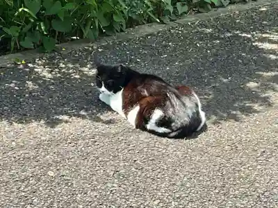 白金氷川神社(東京都)