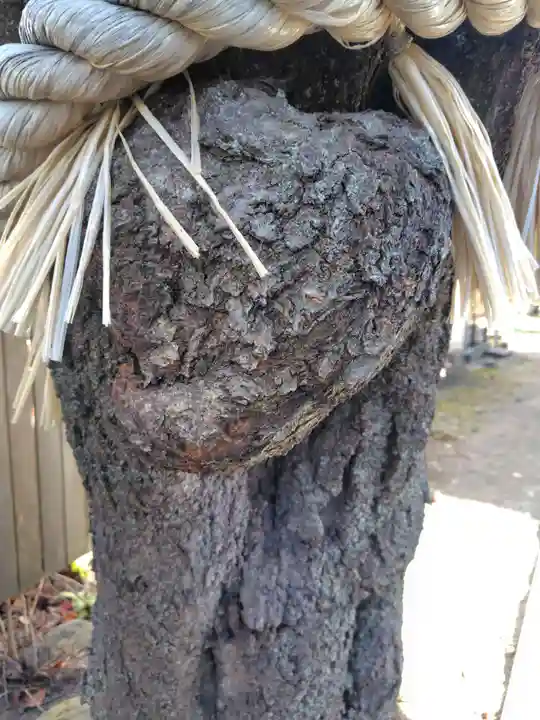 小室浅間神社(山梨県)