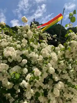 船宿寺(奈良県)