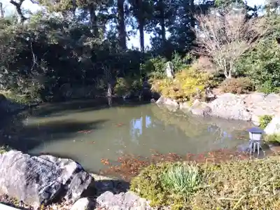 竜沢寺(福井県)