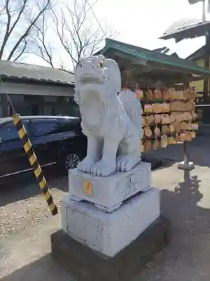 櫻岡大神宮の狛犬