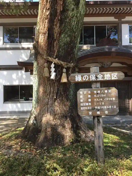 宮崎八幡宮の自然