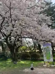 出雲大社(島根県)