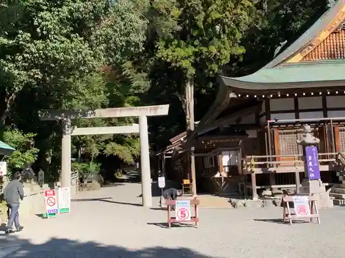 多度大社の鳥居