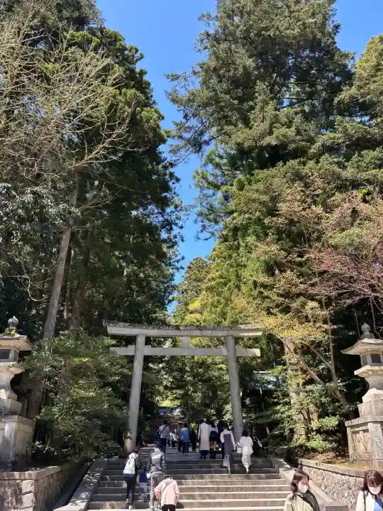 彌彦神社の{uncategorized: "未分類", other: "その他", undefined: "問題あり", building: "その他建物", grave: "お墓", sacred_gate: "鳥居", guardian: "狛犬", statue: "像", buddha: "仏像", history: "歴史", nature: "自然", garden: "庭園", animal: "動物", pagoda: "塔", temizu: "手水舎", mountain_gate: "山門・神門", sanctuary: "本殿・本堂", subordinate: "末社・摂社", art: "芸術", scenery: "景色", jizo: "地蔵", ema: "絵馬", goshuin: "御朱印", omikuji: "おみくじ", items: "授与品その他", amulet: "お守り", goshuincho: "御朱印帳", eats: "食事", festival: "お祭り", votive_dance: "神楽", shichigosan: "七五三参", wedding: "結婚式", experience: "体験その他", initially: "初詣", around: "周辺", anti_infection: "感染症対策"}