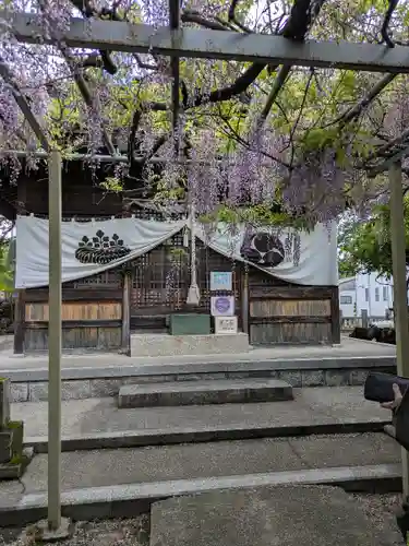 大歳神社(兵庫県)