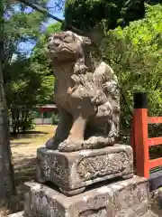 出石神社の狛犬