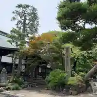 養玉院如来寺(東京都)