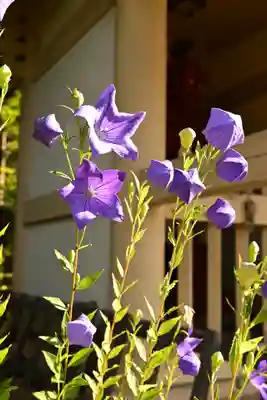 定福寺(高知県)