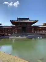 平等院の{uncategorized: "未分類", other: "その他", undefined: "問題あり", building: "その他建物", grave: "お墓", sacred_gate: "鳥居", guardian: "狛犬", statue: "像", buddha: "仏像", history: "歴史", nature: "自然", garden: "庭園", animal: "動物", pagoda: "塔", temizu: "手水舎", mountain_gate: "山門・神門", sanctuary: "本殿・本堂", subordinate: "末社・摂社", art: "芸術", scenery: "景色", jizo: "地蔵", ema: "絵馬", goshuin: "御朱印", omikuji: "おみくじ", items: "授与品その他", amulet: "お守り", goshuincho: "御朱印帳", eats: "食事", festival: "お祭り", votive_dance: "神楽", shichigosan: "七五三参", wedding: "結婚式", experience: "体験その他", initially: "初詣", around: "周辺", anti_infection: "感染症対策"}