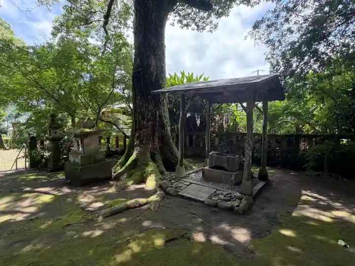 南方神社(鹿児島県)