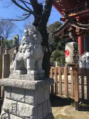 瀧泉寺(目黒不動尊)の狛犬