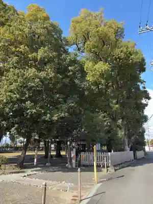 綱越神社(大神神社摂社)(奈良県)