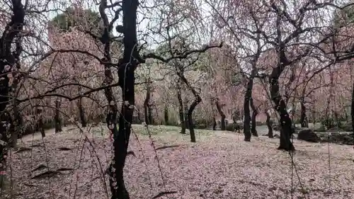 城南宮(京都府)