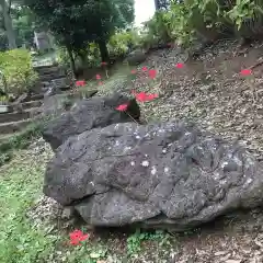 天台宗　長窪山　正覚寺の庭園