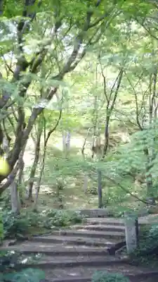 常寂光寺(京都府)