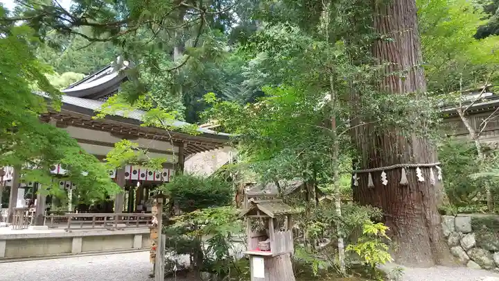 丹生川上神社(中社)(奈良県)