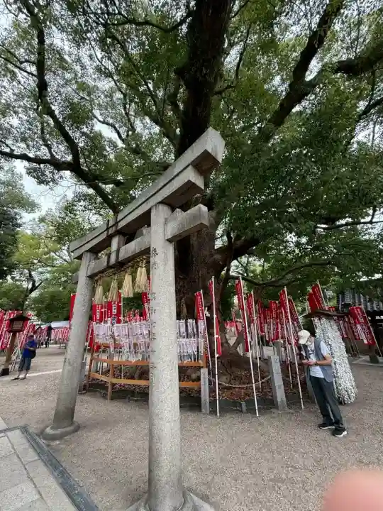 楠珺社(住吉大社末社)の{uncategorized: "未分類", other: "その他", undefined: "問題あり", building: "その他建物", grave: "お墓", sacred_gate: "鳥居", guardian: "狛犬", statue: "像", buddha: "仏像", history: "歴史", nature: "自然", garden: "庭園", animal: "動物", pagoda: "塔", temizu: "手水舎", mountain_gate: "山門・神門", sanctuary: "本殿・本堂", subordinate: "末社・摂社", art: "芸術", scenery: "景色", jizo: "地蔵", ema: "絵馬", goshuin: "御朱印", omikuji: "おみくじ", items: "授与品その他", amulet: "お守り", goshuincho: "御朱印帳", eats: "食事", festival: "お祭り", votive_dance: "神楽", shichigosan: "七五三参", wedding: "結婚式", experience: "体験その他", initially: "初詣", around: "周辺", anti_infection: "感染症対策"}