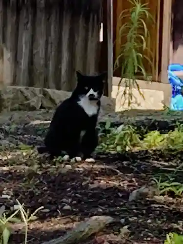 縣主神社(岡山県)