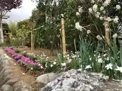 横浜御嶽神社の自然