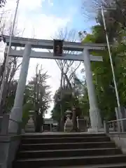 荻窪八幡神社の鳥居