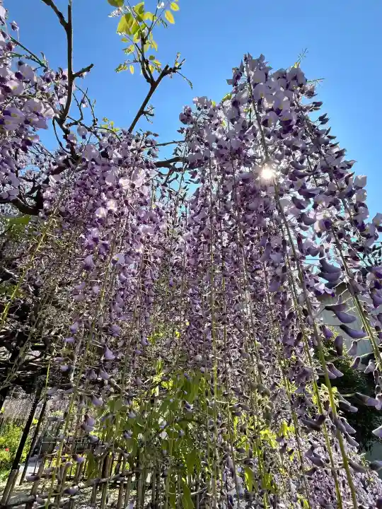 白毫寺熊野権現社(兵庫県)