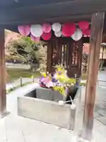 勝林寺(京都府)