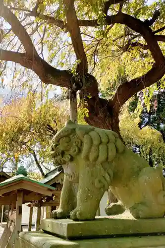 三島八幡神社の狛犬