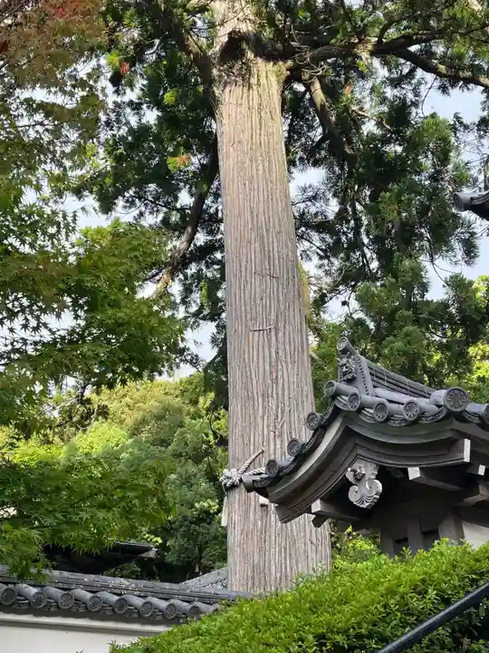興国寺(和歌山県)