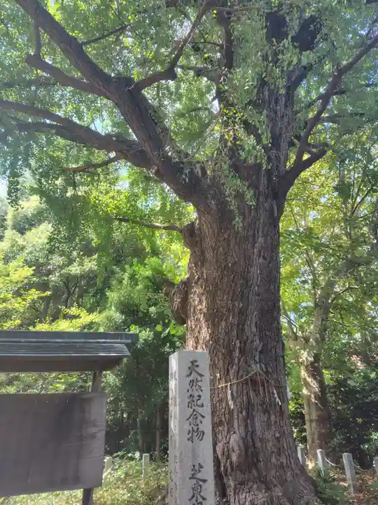 芝東照宮(東京都)