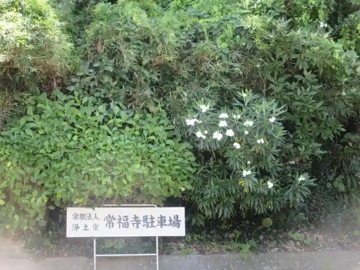 常福寺(神奈川県)