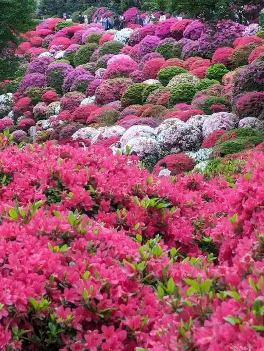 根津神社(東京都)