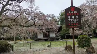 醍醐寺(京都府)