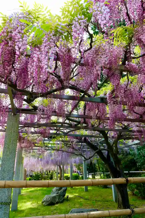 三大神社(滋賀県)
