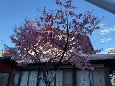 薬師寺(愛知県)