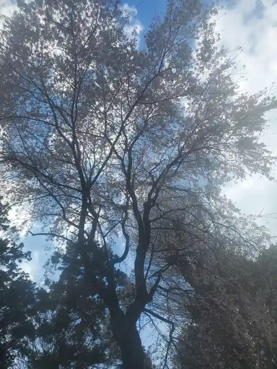 下野國一社八幡宮(栃木県)