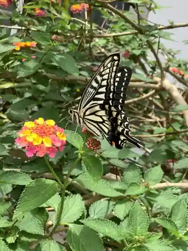 三輪神社の自然