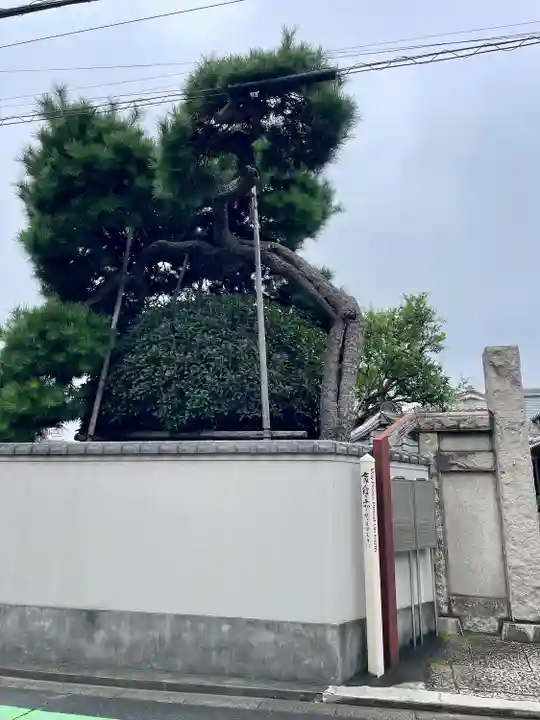 長安寺(東京都)