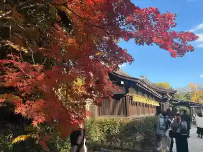 賀茂御祖神社（下鴨神社）(京都府)
