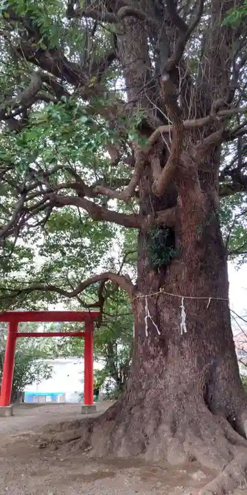 石受稲荷神社(神奈川県)