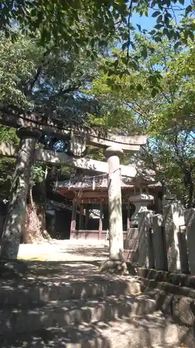 壷神社の鳥居