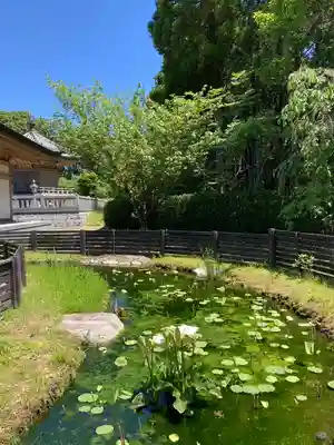 獅子王山妙法寺(佐賀県)