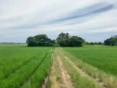 椿神社(千葉県)