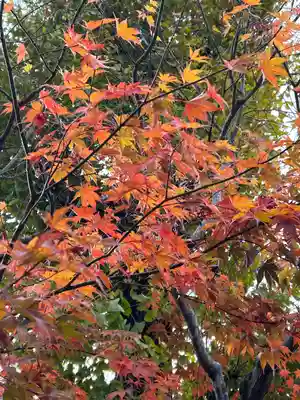 東光寺(長野県)