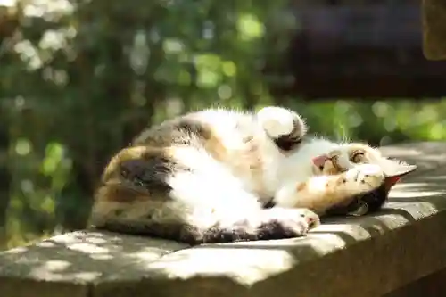 玉野御嶽神社(愛知県)