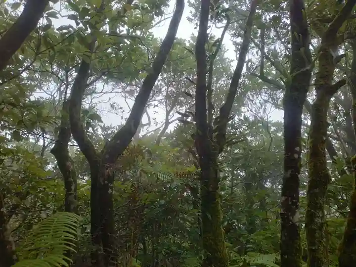 浅間神社(東京都)