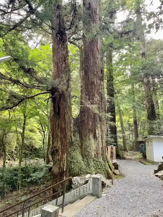 最乗寺奥の院(慈雲閣)(神奈川県)