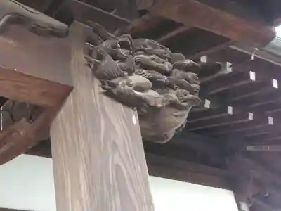 東覺院(東京都)