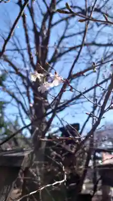 相馬神社(北海道)